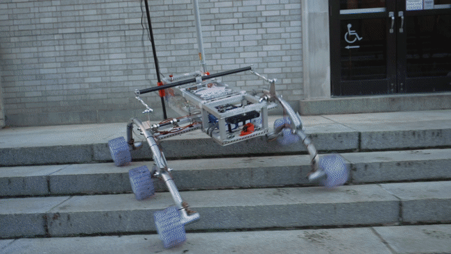 Rover Team Lead